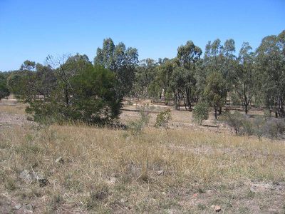 LOT 1 POOK ROAD, Redcastle