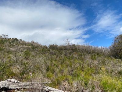 87 Middleton Close, Shadforth