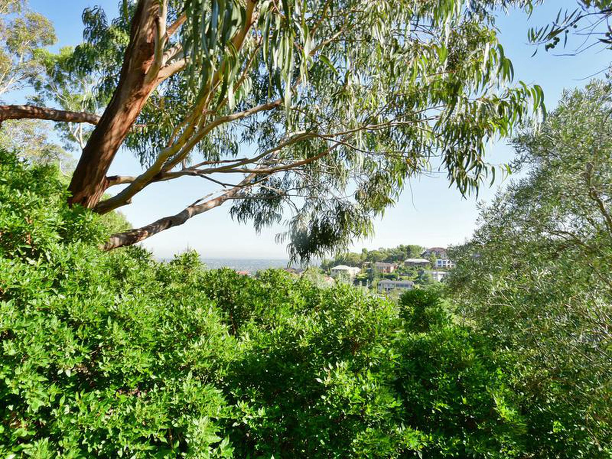 22 Wyfield Street, Wattle Park