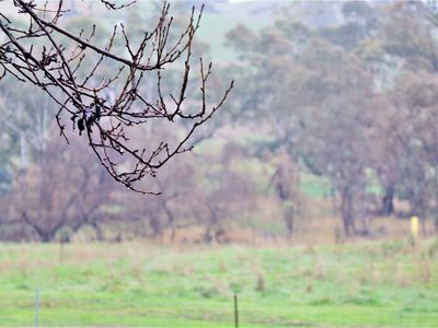5275 Northern Highway, Tooborac
