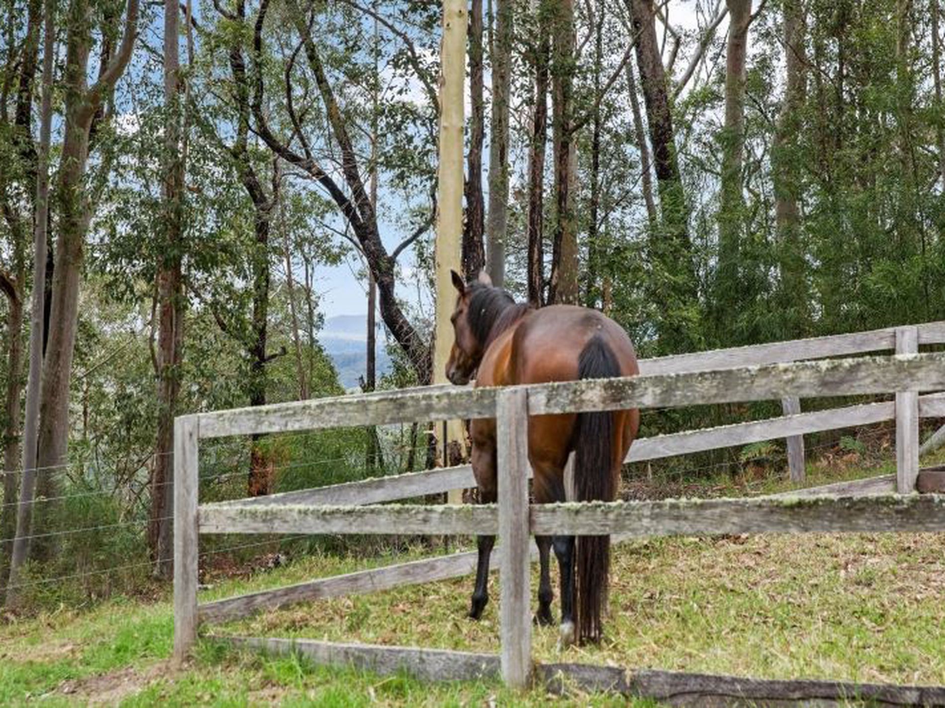 D3380 Princes Highway, Jerrawangala