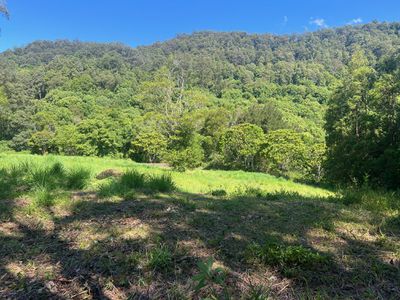 Lot 8, 345 Tuntable Falls Road, Nimbin