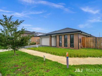 2 Elmtree Crescent, Clyde North