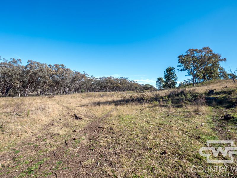 Lot 8, - Emmaville Road, Emmaville