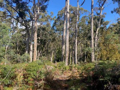 Lot 1 Lightwood Road, Saltwater River