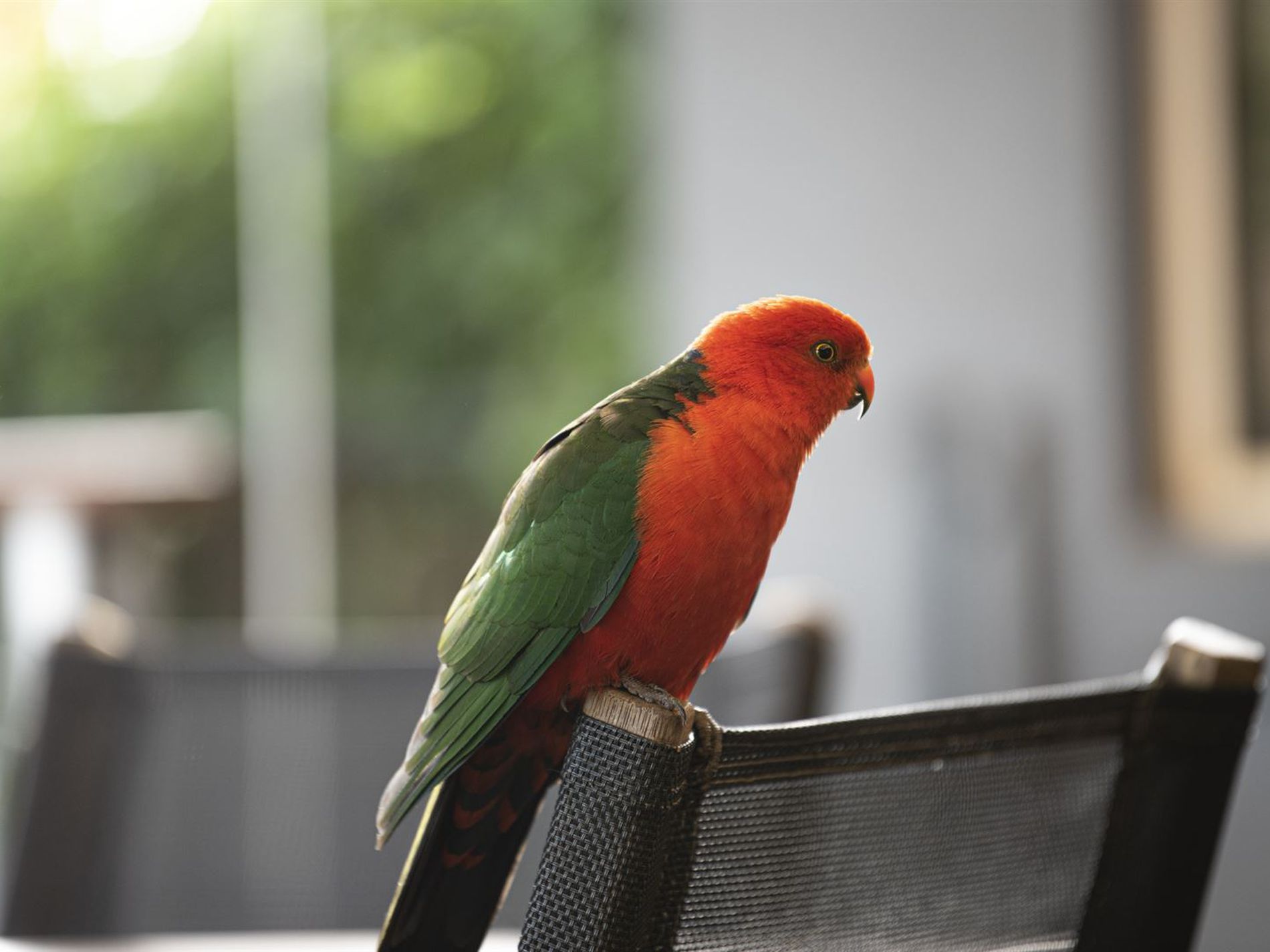 81 Lake Conjola Entrance Road, Lake Conjola