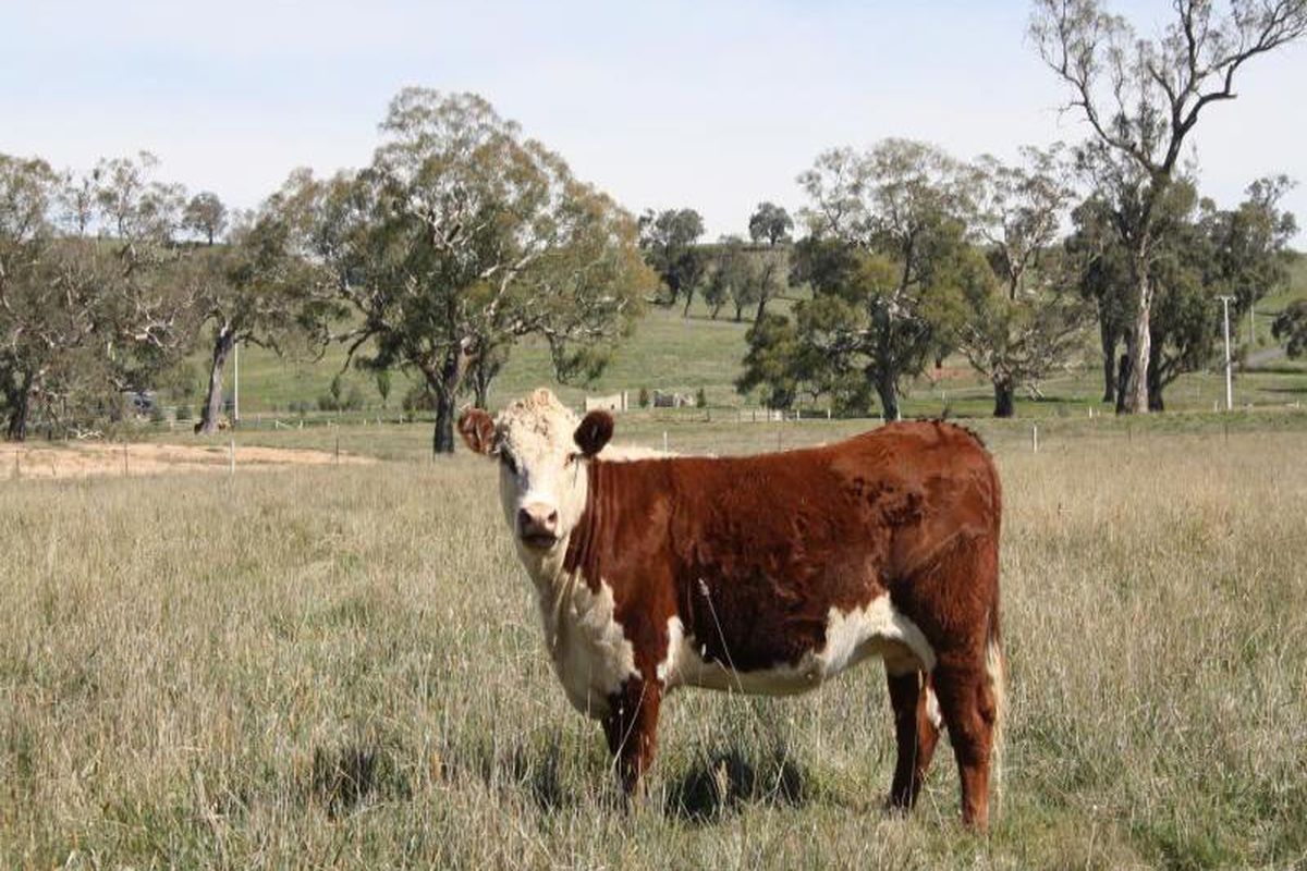 12 High Vista Court, Mansfield