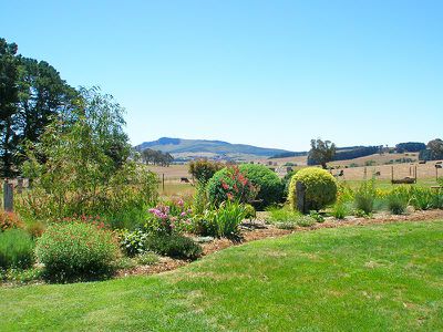 668 Barry Road, Neville