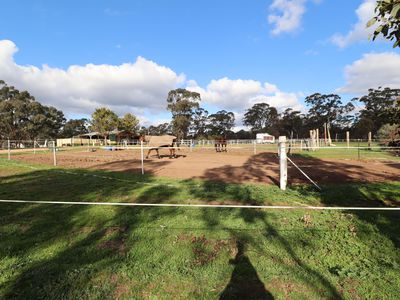 381 Warrowitue-Forest Road, Heathcote