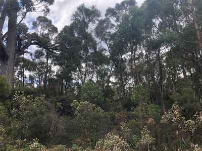 149 Esperance Coast Road, Surges Bay