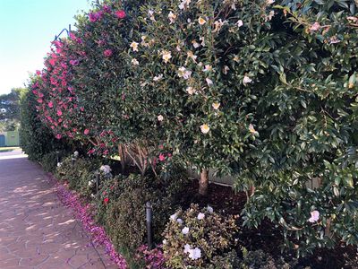 3 Kooralbyn Avenue, Mollymook