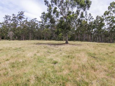0 Walters Road, Wattle Grove