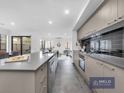 41 Matheson Avenue, Wyndham Vale