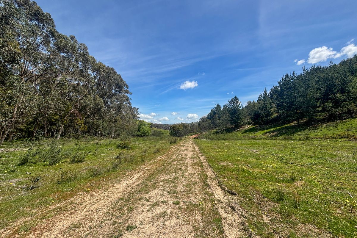 259 Hells Hole Creek Road, Bonnie Doon