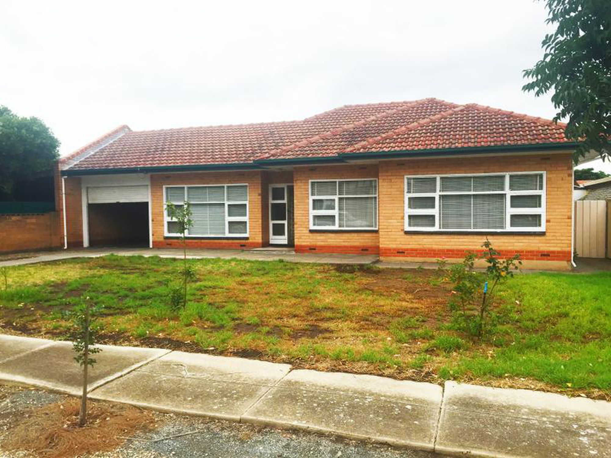 12 Basnett Street, Kurralta Park