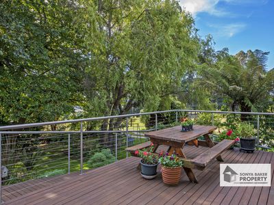 1280 Murchison Highway, Elliott