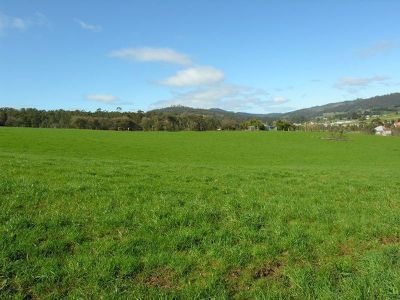 Office RE / Lot 2 Gans Lane, Geeveston