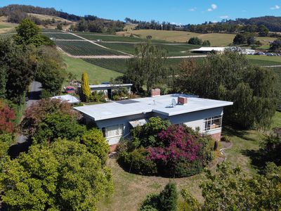 7749 Channel Highway, Cygnet