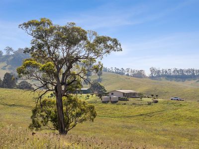 474 Neringla Road, Neringla, Araluen