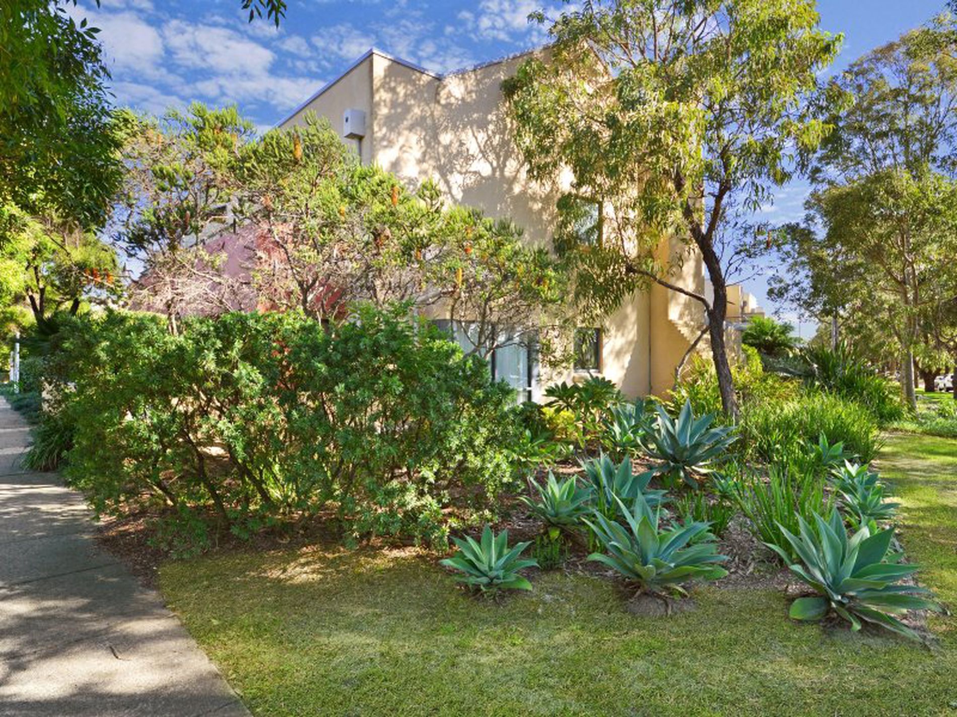 31 / 15 Begonia Street, Pagewood