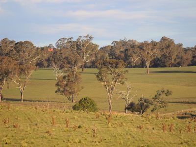 312 Bosworth Falls Road, O'connell