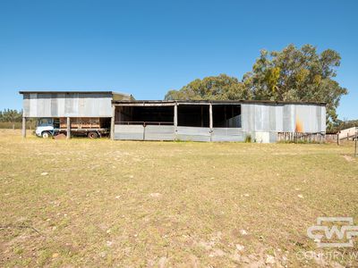 Lot 7, - Emmaville Rd, Emmaville