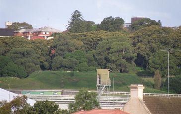 8 / 41A Anzac Pde, Kensington