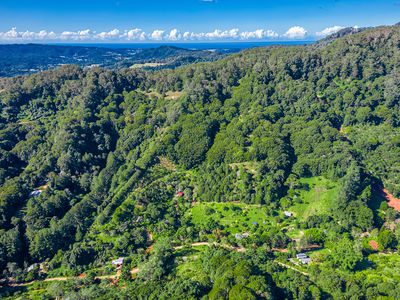 89 Geles Road, Upper Burringbar