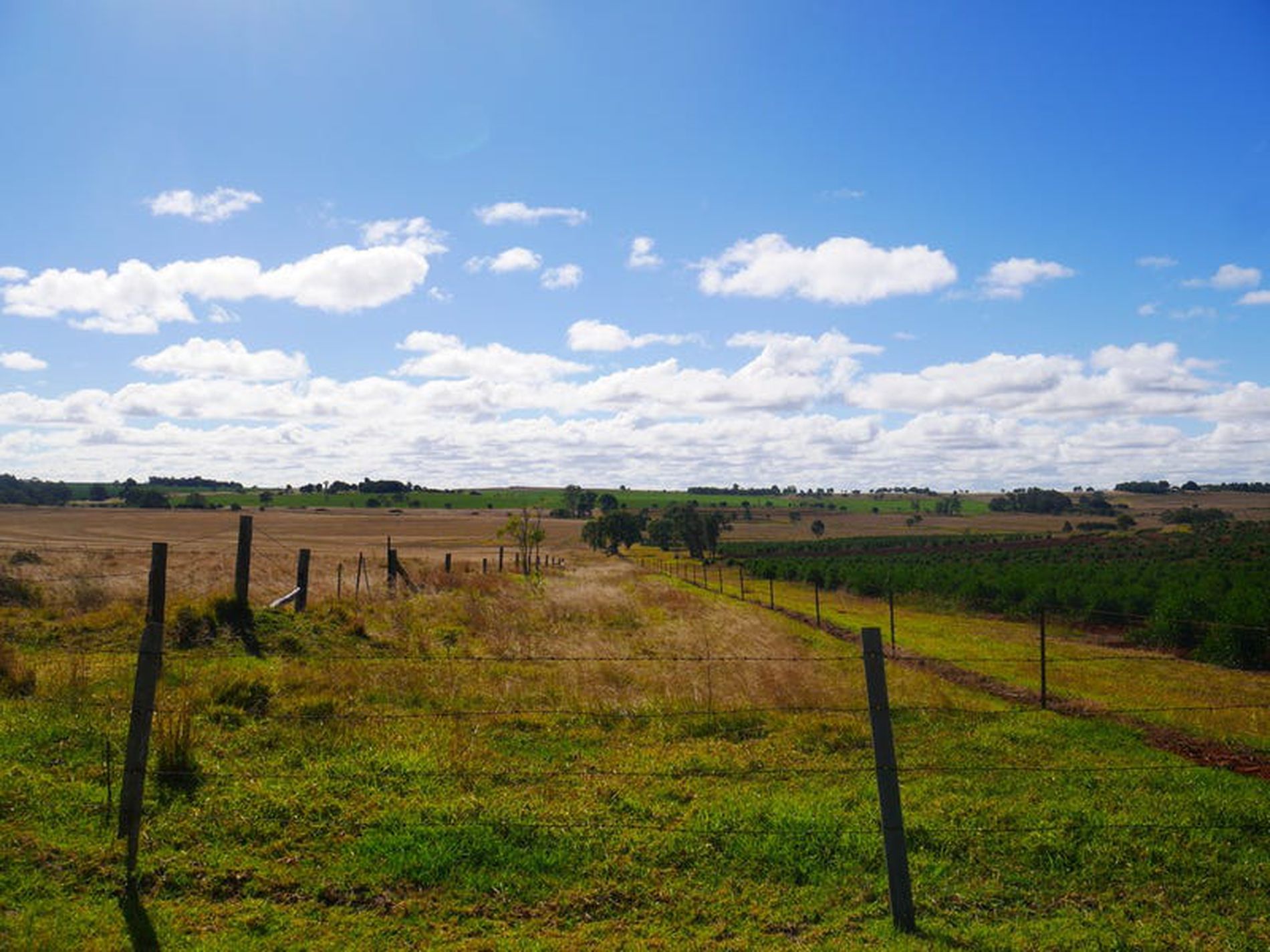 376 Reedy Creek, Kingaroy