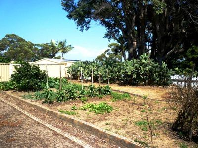 35 Pengana Crescent, Mollymook