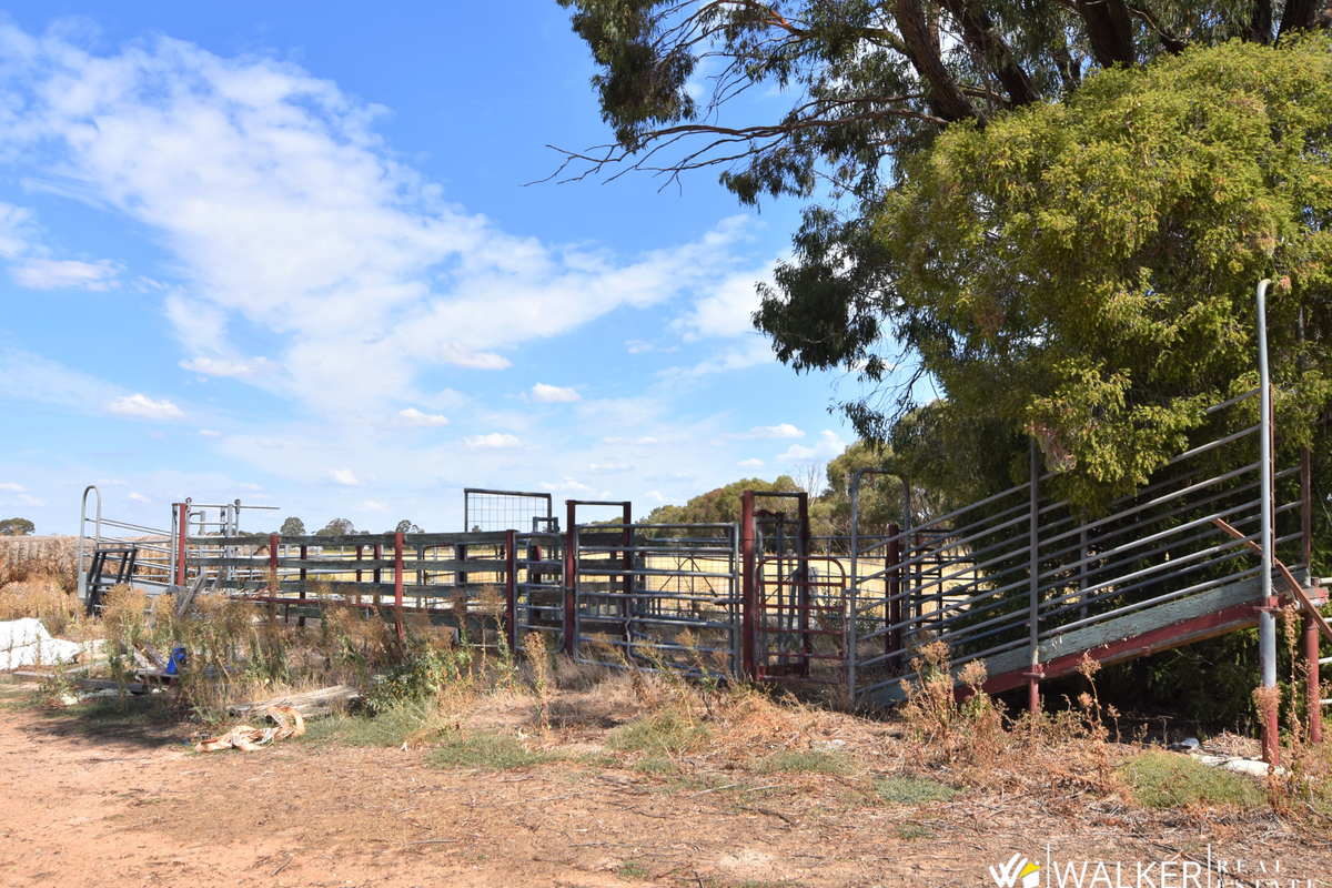 845 Trevaskis Road, Kyabram