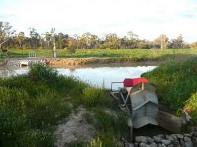 Murray Valley Highway Randalls Road, Wee Wee Rup