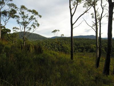 Lune River Road, Lune River
