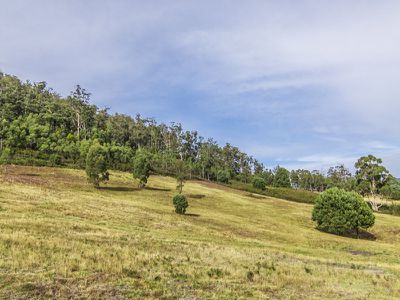 697 She Oak Road, Judbury