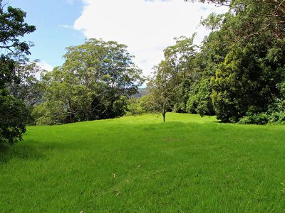 50C Keoghs Road, Kangaroo Valley