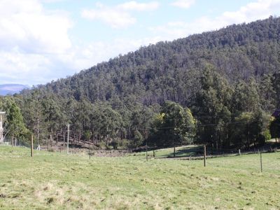 282 Judds Creek Road, Judbury