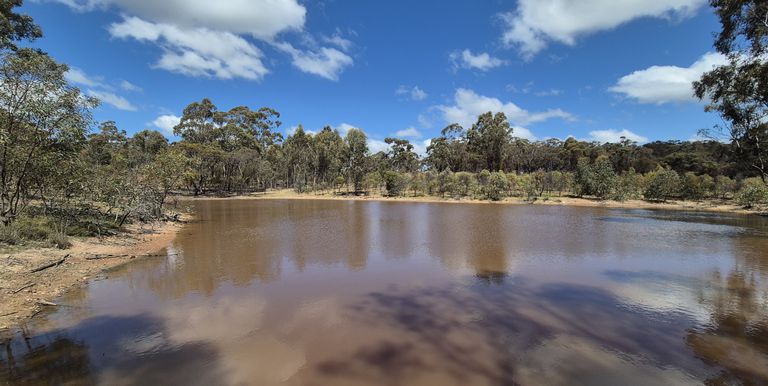 Lot 3 Gellibrand Tonks Road , Earlston