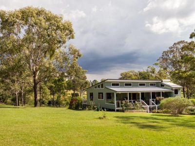 Blackbutt