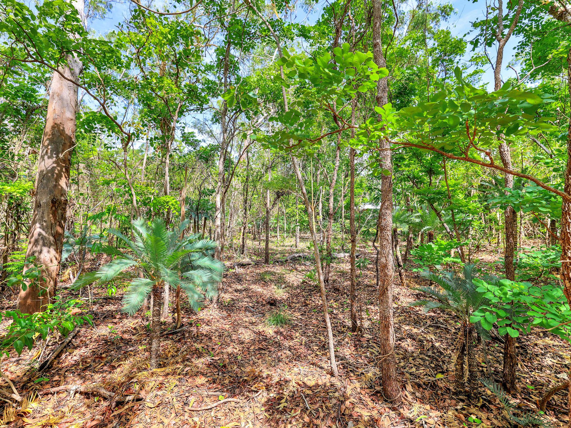 280 Beddington Road, Herbert