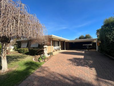 14 Lock Drive, Swan Hill