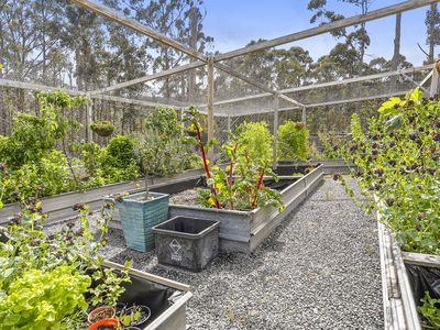 496 Judds Creek Road, Judbury