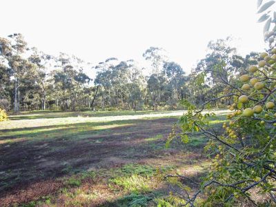 232 Sailors Gully Road, Eaglehawk