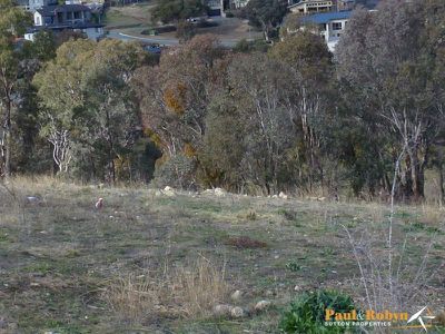 23 Balcombe Street, Jerrabomberra