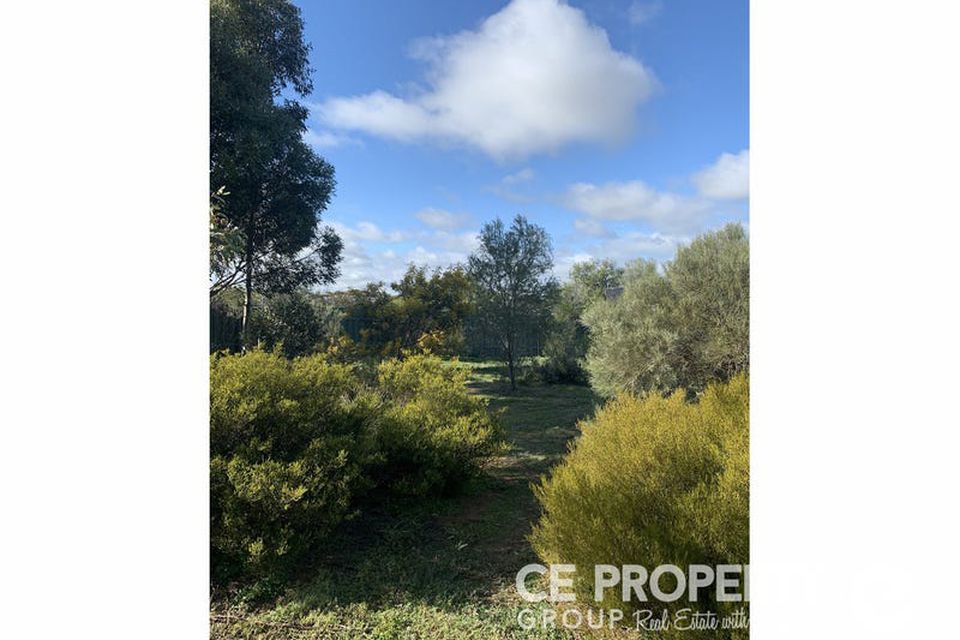 2943 Randell Road, Mannum