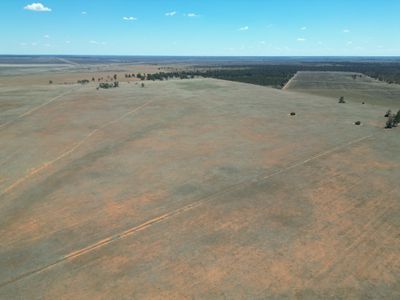 Lot  LOT 1 LP135805, 1  Cocketgedong Road, Urana