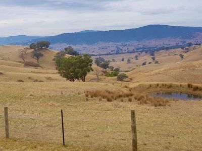 Flagstaff Road, Bethanga