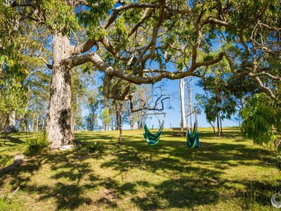 352 Bodalla Park Drive, Bodalla