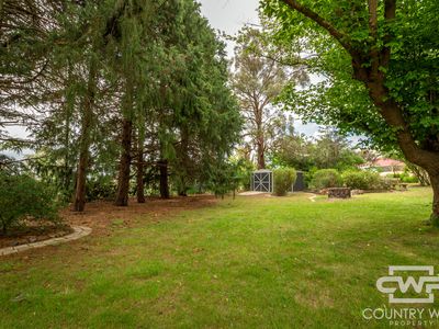 4 Young Street, Glen Innes