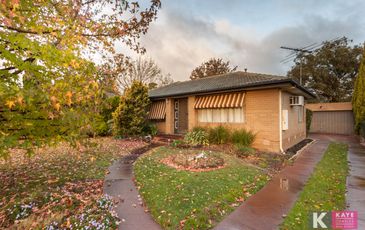 41 Mansfield Street, Berwick