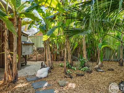 102 Cherry Street, Ballina
